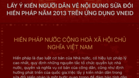 Hướng dẫn chi tiết cách góp ý sửa đổi Hiến pháp trên VNeID