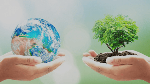 BÀI TUYÊN TRUYỀN HƯỞNG ỨNG NGÀY MÔI TRƯỜNG  THẾ GIỚI 2025